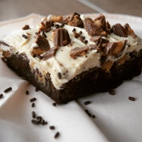 Ultimate Chocolate Peanut Butter Brownies